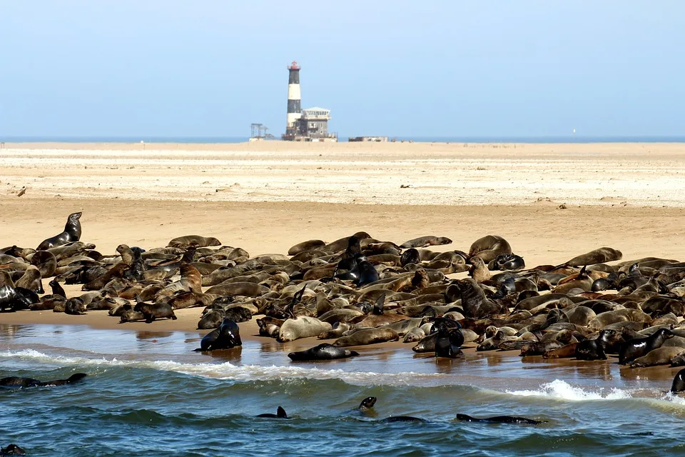 Namib to Falls