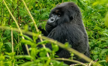 Uganda e Rwanda - Mille colline d'Africa