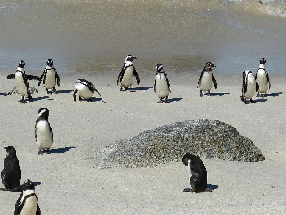 SudAfrica e Botswana - Ocean to Falls Explorer