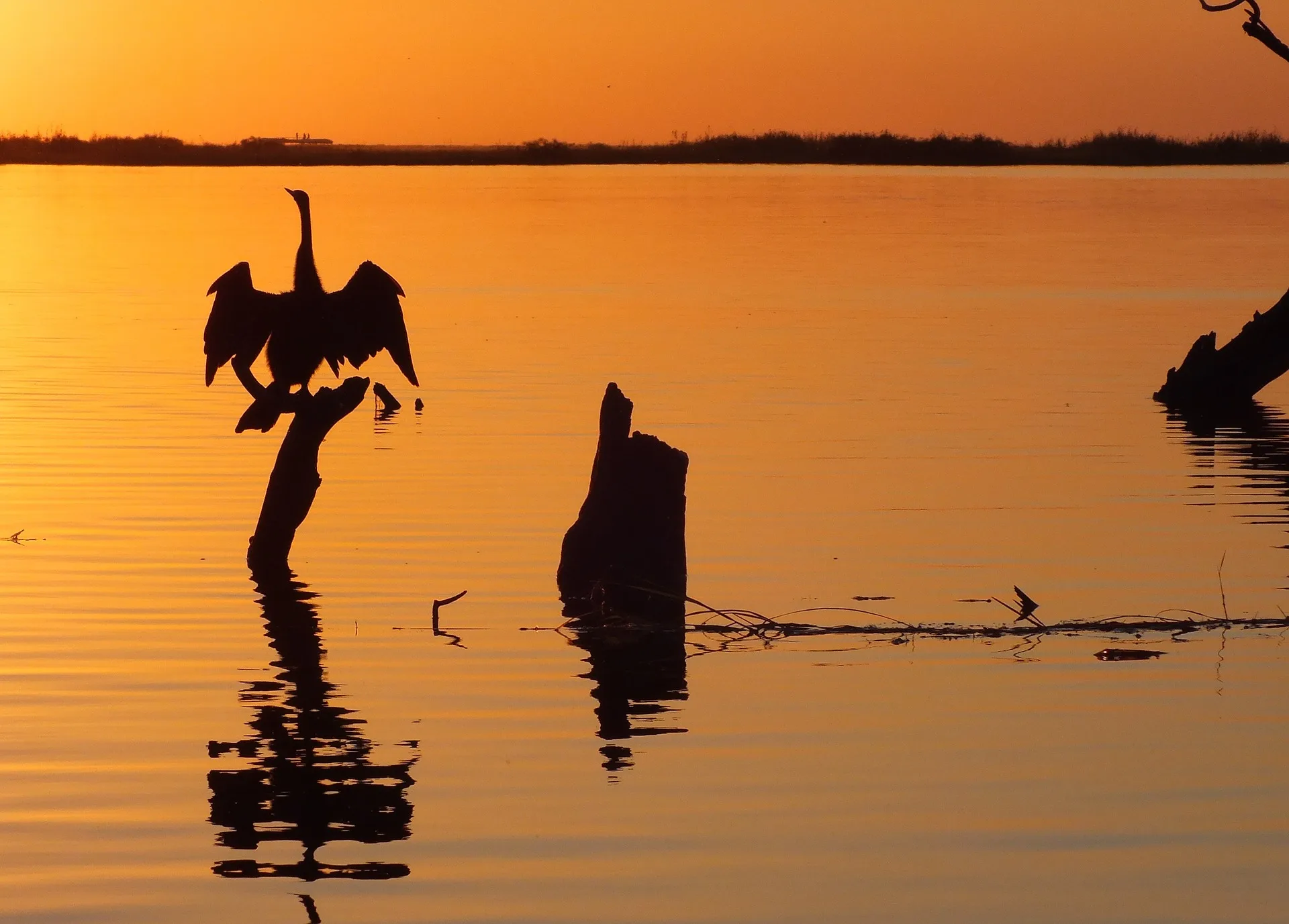 Zimbabwe e Botswana Game Trail