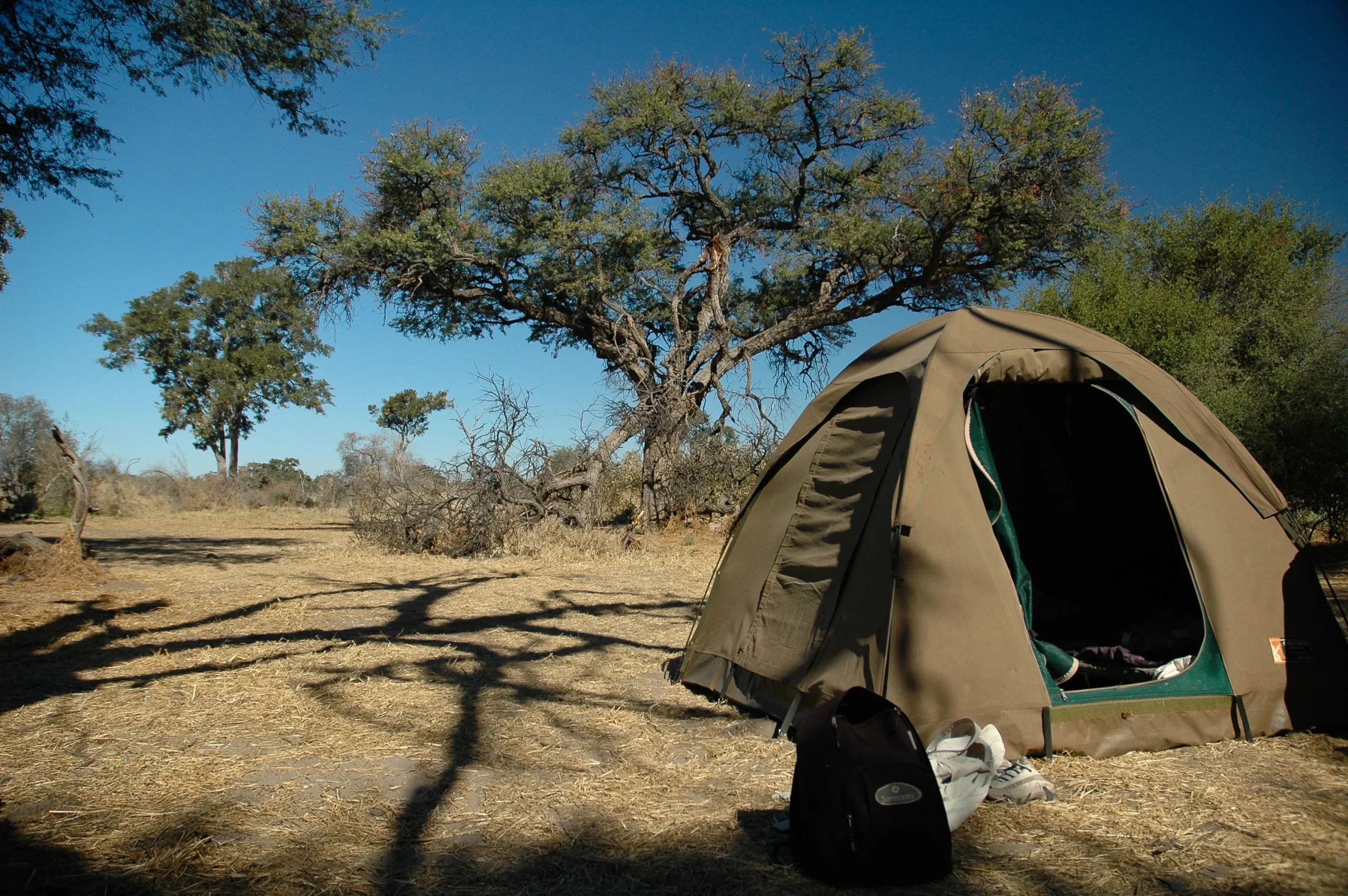 Overland - Botswana Wildside