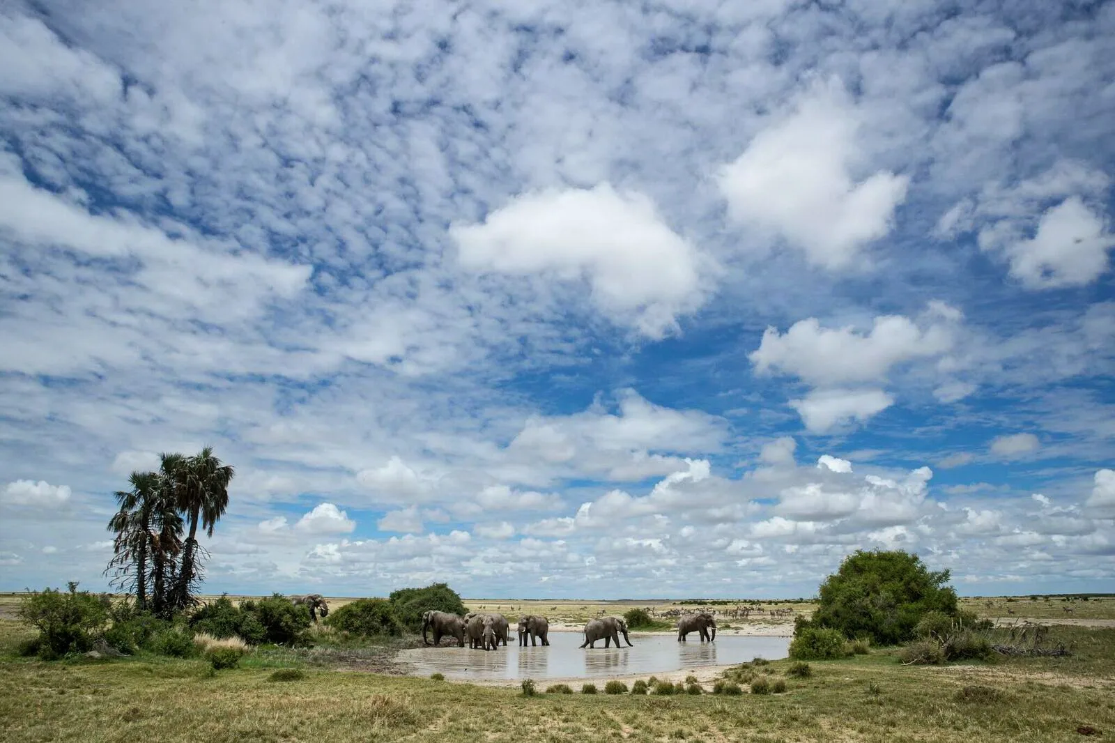 Botswana – Jack's Camp