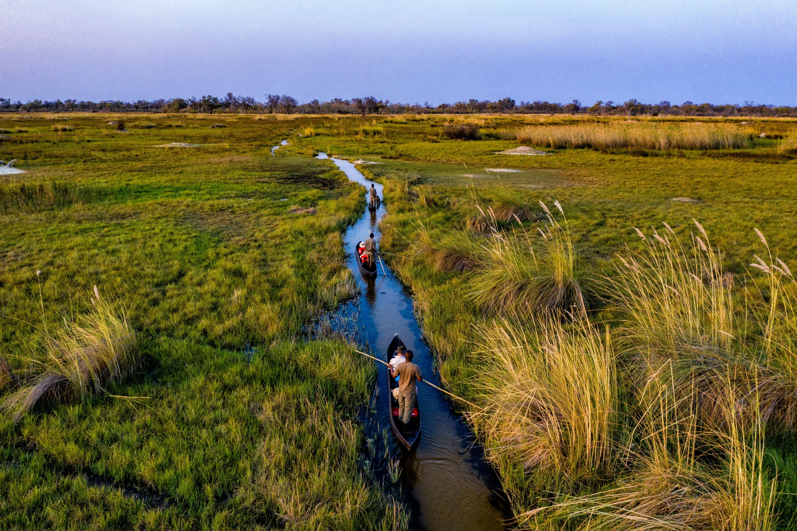 Botswana – Sable Alley Camp